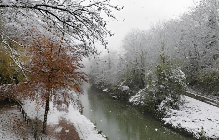 IN BILDERN. Von Meaux bis Disneyland Paris, die schönsten Schneefotos in Seine-et-Marne