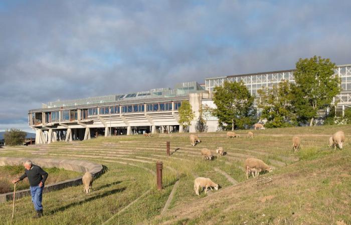 Architekturpreis spanischer Architekten: die Gewinner