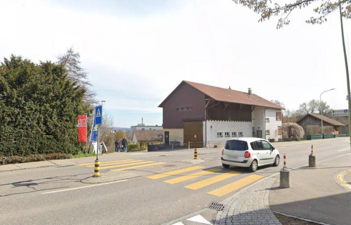 Falscher Amok-Alarm: Grosseinsatz der Polizei in Dielsdorf