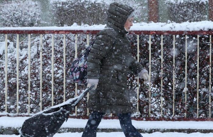 Neuester Sturm Bert: „Multi-Gefahren-Wetterereignis“ trifft Großbritannien und Irland – seltene rote Warnung ausgegeben | Britische Nachrichten