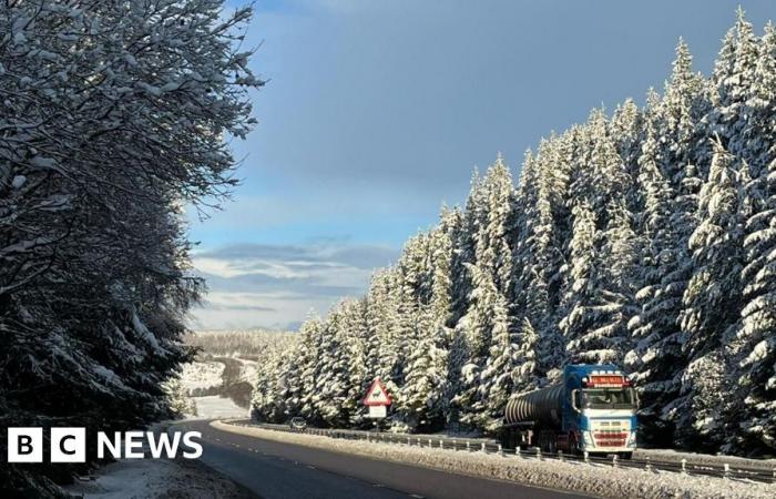 Sturm Bert: Polizei warnt am Samstag vor Straßenfahrten