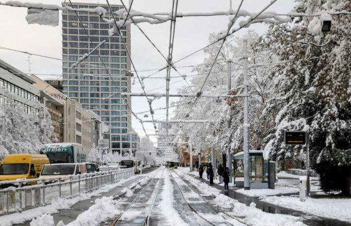 Schnee in der Region Basel: Alle Infos und ÖV-Einschränkungen