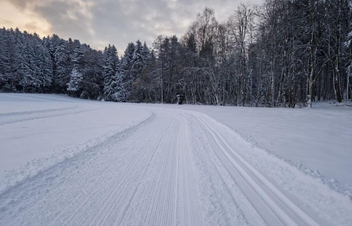 Schnee in Winterthur: Die schönsten Bilder und wichtigsten Infos