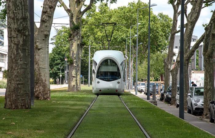 Sytral legt die Entwicklung des Ostens von Lyon in Stein