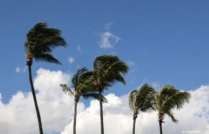 Gelber Alarm, starker Wind, von 9 bis 18 Uhr im Westen, Süden und Südosten