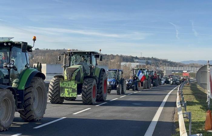 Wut der Landwirte: Schneckenoperation auf der A43 an diesem Freitag in Nord-Isère