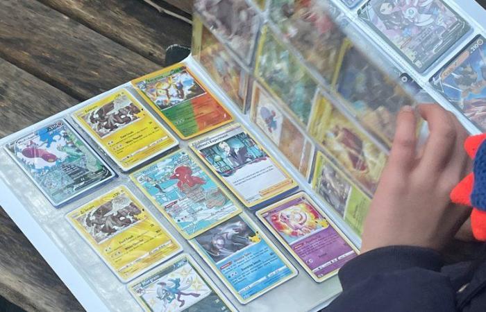 „Für Sammler ist es wirklich ein Goldstück“: Bei der Renovierung ihres Hauses entdeckte sie Hunderte seltener Pokémon-Karten