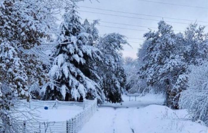 nach Wind und Schnee Häuser ohne Strom