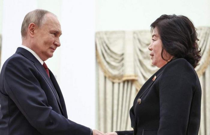 Russland lieferte im Gegenzug für die Entsendung von Truppen Flugabwehrraketen an Nordkorea