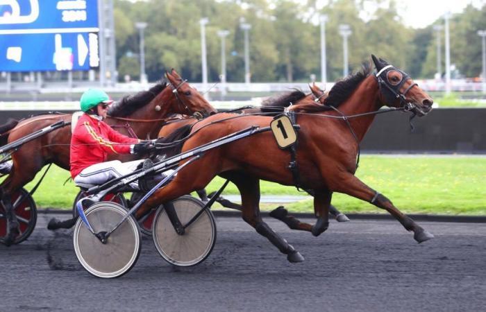 Misty Green und Marion d’Atout im Abgrund