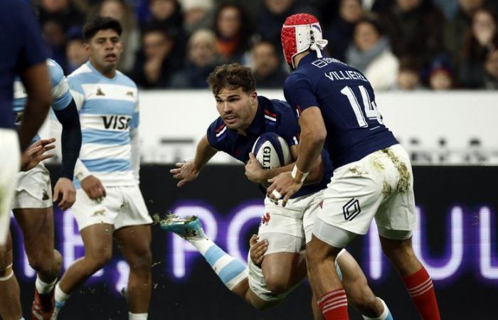 XV von Frankreich – „Wir gewinnen unsere drei Spiele, also können wir es genießen“: Finden Sie nach dem Sieg gegen Argentinien (37-23) die Reaktionen von Fabien Galthié und Antoine Dupont