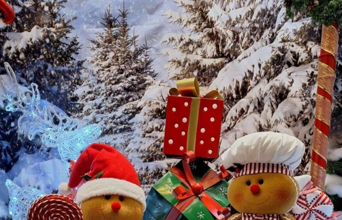 Dekorationen und Magie: Treffen mit Weihnachtsbegeisterten