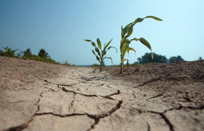 GARD Beteiligen Sie sich an Fragen zum Klimawandel