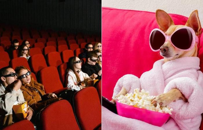 Im Dezember öffnet in Paris ein Kino seine Türen für Hunde!