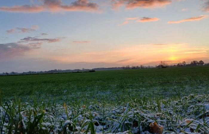 Aufgrund des Winterwetters kommt es in der Nähe von Arnheim zu langen Staus. Rijkswaterstaat rät, die Region zu meiden