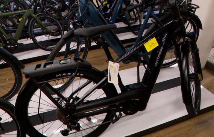 „Ein sehr schöner Rabatt“: Fahrradpreise sinken stark, aus welchem ​​Grund?