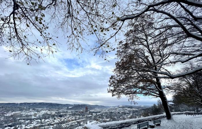 Schnee in Winterthur: Die schönsten Bilder und wichtigsten Infos