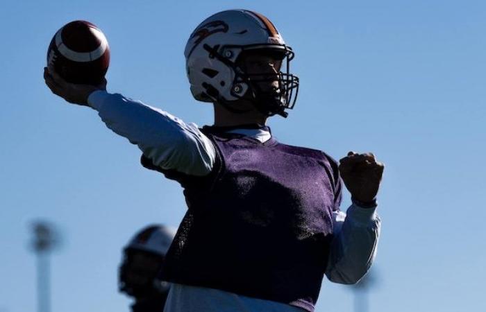 Vanier Cup: ein Quarterback-Duell zwischen Rouge et Or und Golden Hawks