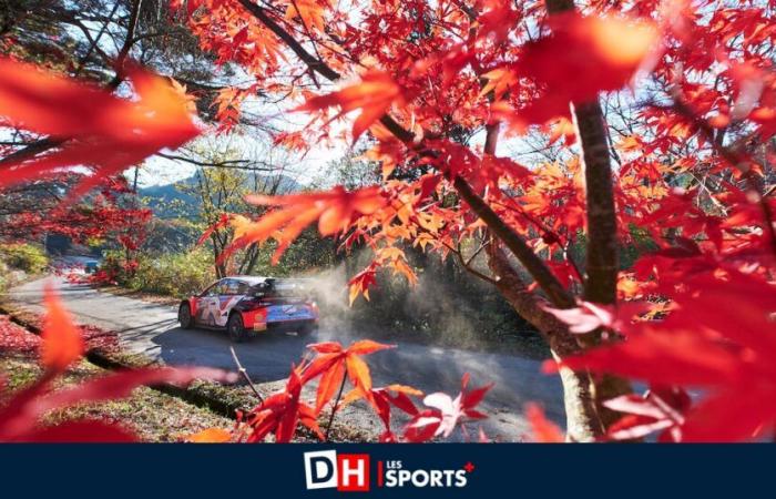 WRC Japan: Das Unglück von Thierry Neuville und das Samurai-Motto