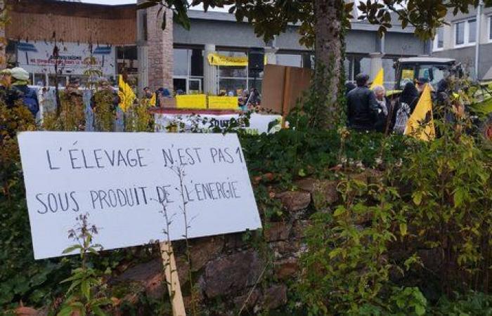 In Corrèze entfacht der Agrivoltaismus