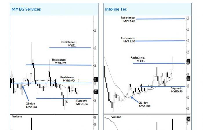 Aktienauswahl des Tages: MY EG Services und Infoline Tec