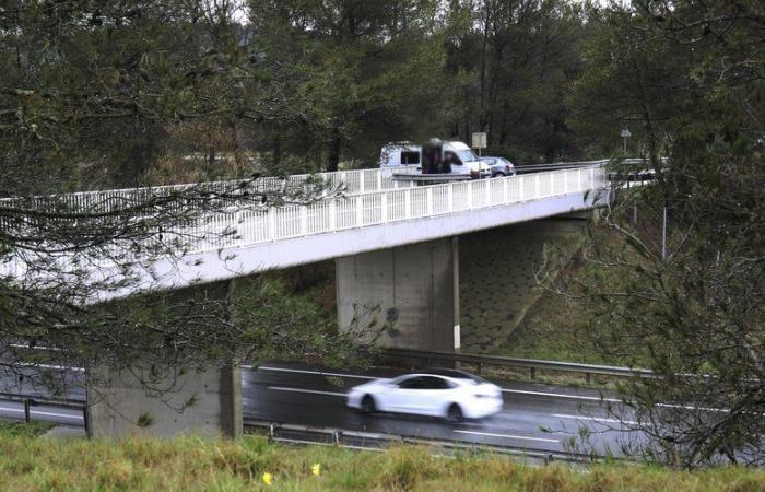 Sie werfen von einer Brücke aus Kieselsteine ​​auf Autos und töten eine Mutter: zwei Minderjährige, die zu neun Jahren Gefängnis verurteilt werden