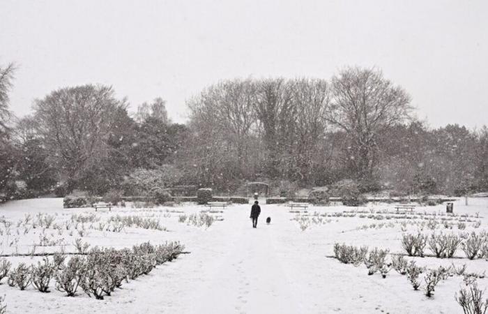 Britische Haushalte werden aufgefordert, vor dem Schneesturm am Samstag sieben Artikel zu kaufen | Wetter | Nachricht