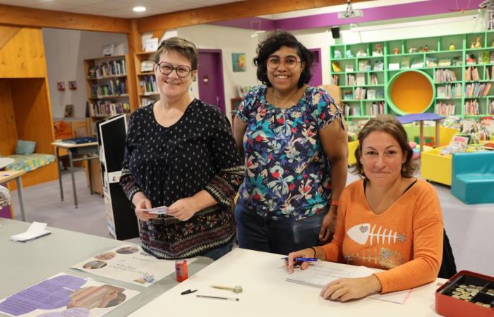 Die Bibliothek Châtenoy le Royal schnitt beim Büchertausch besser ab als der „Black Friday“. – info-chalon.com