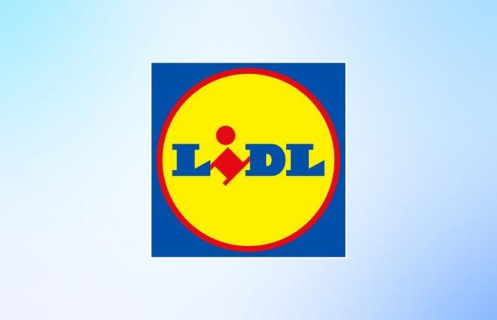 Lidl glaubt, es sei der Weihnachtsmann? Die Dekorationen sind derzeit alle zu günstigen Preisen erhältlich