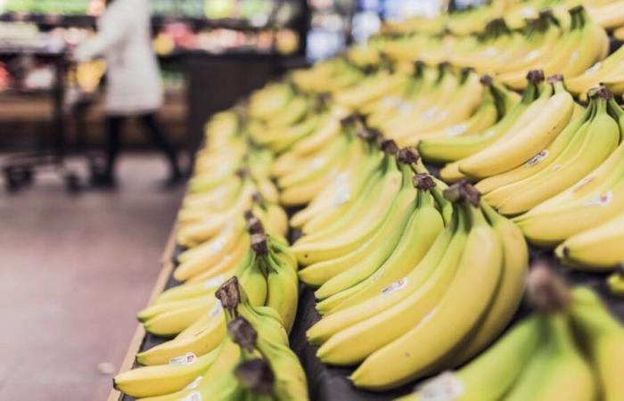 warum der Preis für Bananen wahrscheinlich steigen wird