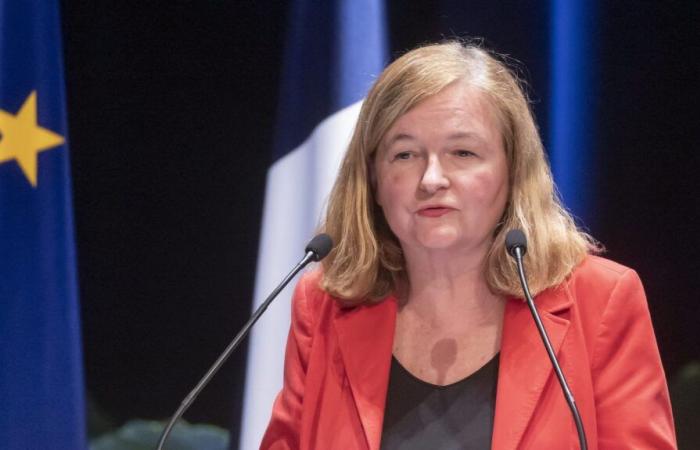 Wenn Benjamin Netanjahu nach Frankreich käme, „sollte Frankreich seinen Verpflichtungen nachkommen“, sagt Europaabgeordnete Nathalie Loiseau