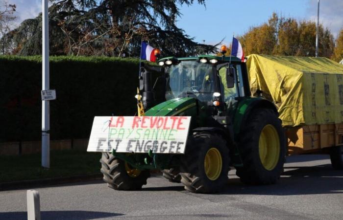 Direkt. Wut der Bauern. Das Carrefour-Einkaufszentrum in Colomiers wurde von der Polizei freigegeben