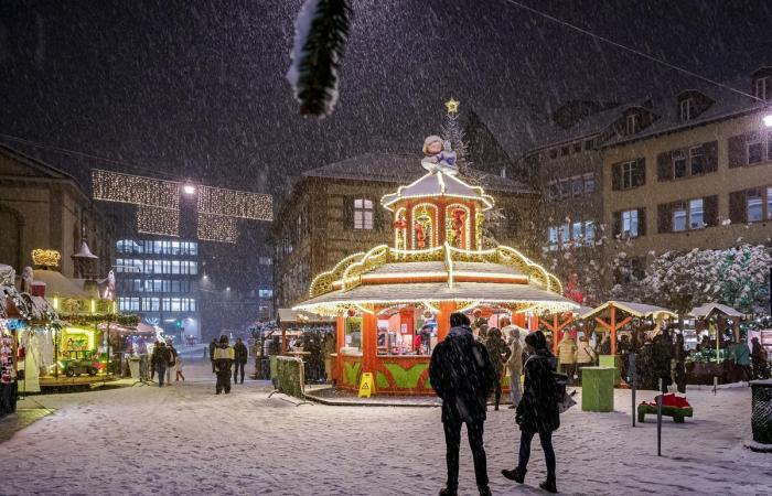 Schnee in Winterthur: Die schönsten Bilder und wichtigsten Infos