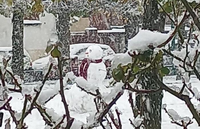 IN BILDERN. Von Meaux bis Disneyland Paris, die schönsten Schneefotos in Seine-et-Marne