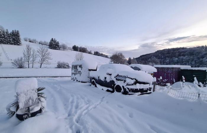 Basel: Schnefälle sorgen für Verkehrsbehinderungen bei BVB