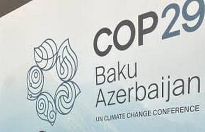 COP29: Welche Zukunft haben Umweltschützer in Afrika angesichts der Klimakrise? – VivAfrik