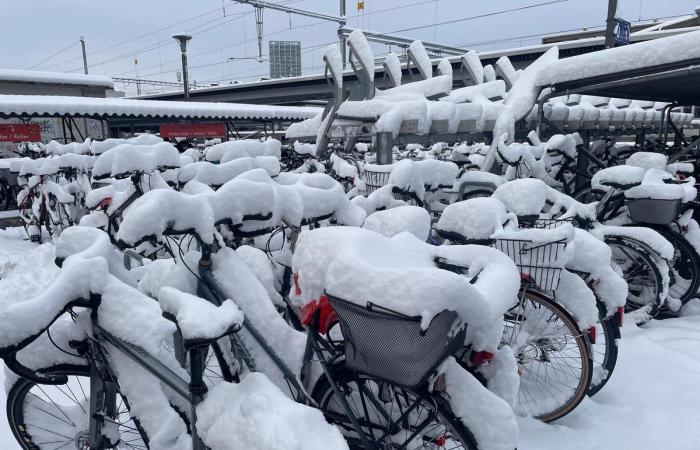 Schnee in Winterthur: Die schönsten Bilder und wichtigsten Infos