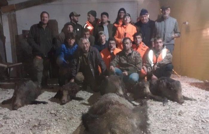 Charente-Maritime: Die Jäger, die einen Rekord-Eber mit einem Gewicht von 205 kg getötet haben, erzählten uns ihre Geschichte