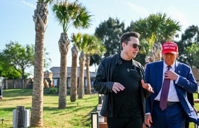 Wie Elon Musk KI nutzen wird, um „das amerikanische Mammut zu vernichten“