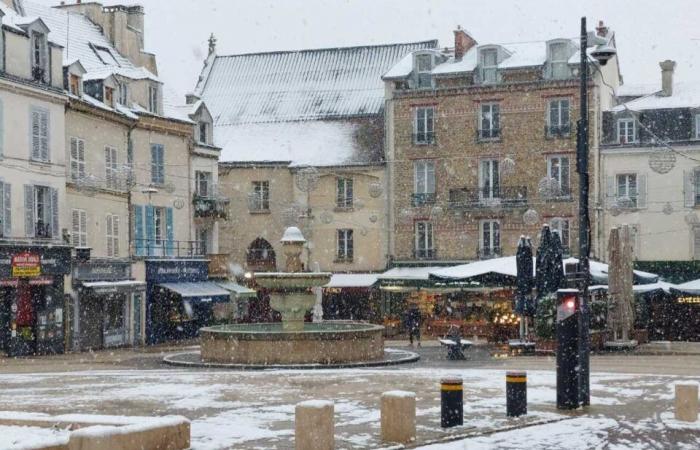 IN BILDERN. Von Meaux bis Disneyland Paris, die schönsten Schneefotos in Seine-et-Marne