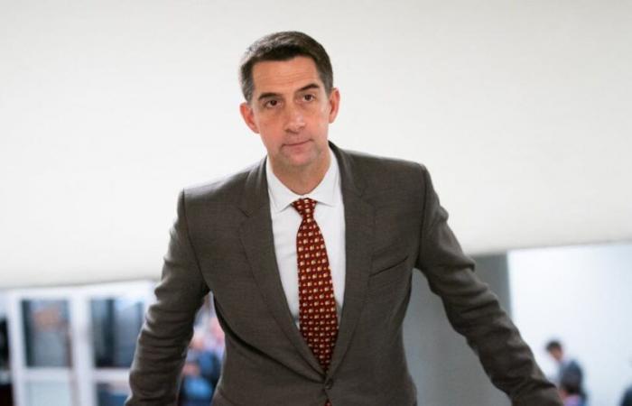 Sie werden nicht glauben, was Tom Cotton gerade vorgeschlagen hat