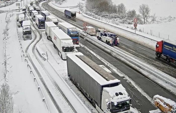 VIDEOS. Sturm Caetano: 150.000 Haushalte immer noch ohne Strom, -10°C nachts, Panik auf den Straßen, Bilder der Schneeepisode in Frankreich