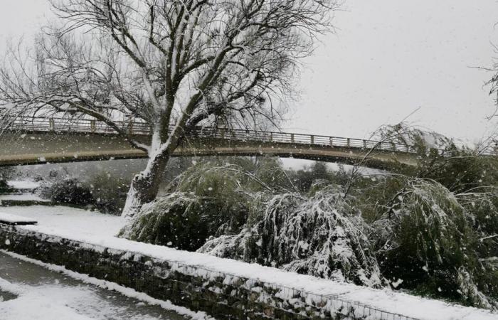 IN BILDERN. Von Meaux bis Disneyland Paris, die schönsten Schneefotos in Seine-et-Marne