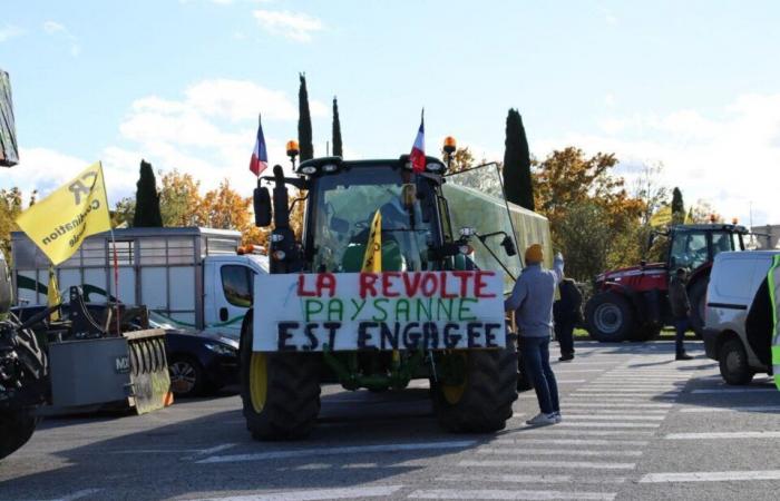 Direkt. Wut der Bauern. Das Carrefour-Einkaufszentrum in Colomiers wurde von der Polizei freigegeben