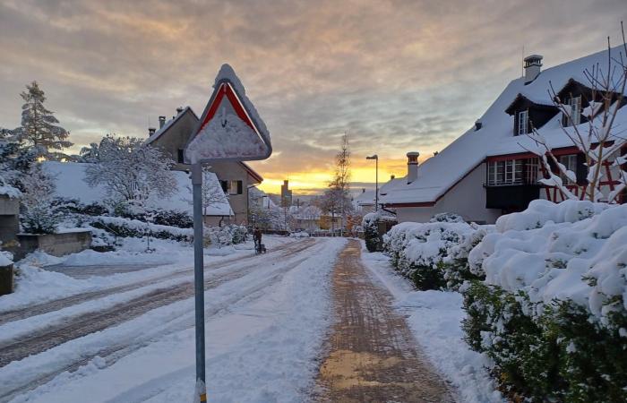 Schnee in Winterthur: Die schönsten Bilder und wichtigsten Infos