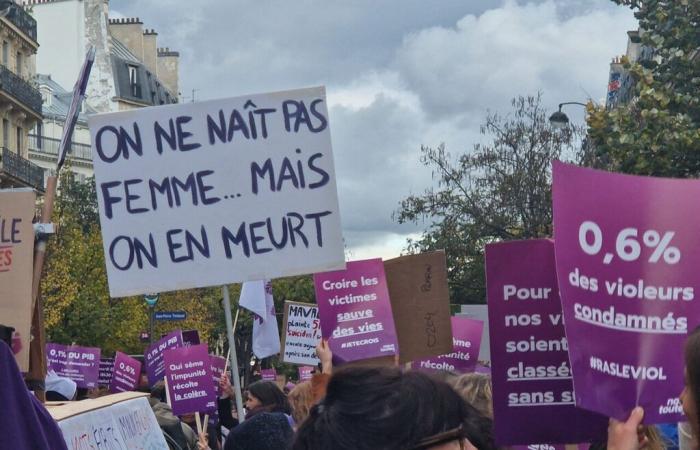 Demonstration in Paris gegen Gewalt gegen Frauen: Die Route der Prozession