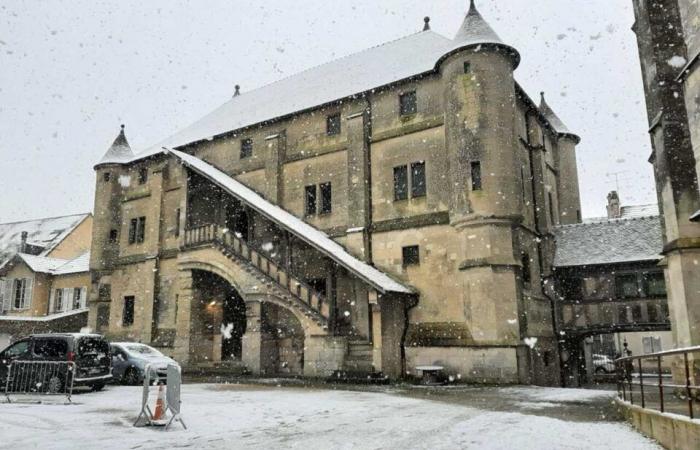 IN BILDERN. Von Meaux bis Disneyland Paris, die schönsten Schneefotos in Seine-et-Marne