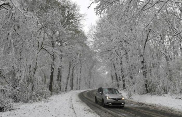 Caetano-Sturm: 200.000 Haushalte ohne Strom, Ende der orangefarbenen Wachsamkeit: Nachrichten