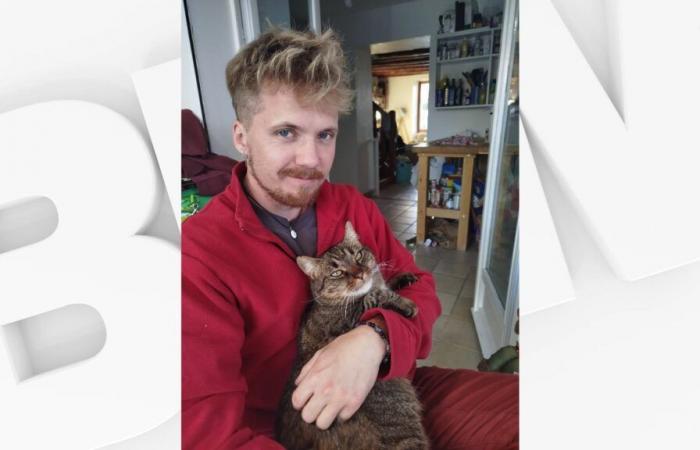 In Briançonnais findet ein Mann seine Katze ein Jahr nach dem Verlust wieder