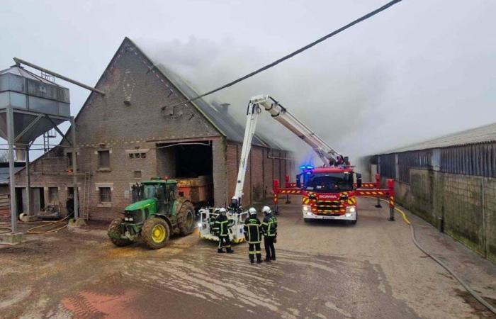 Feuerwehrleute setzen außergewöhnliche Mittel ein